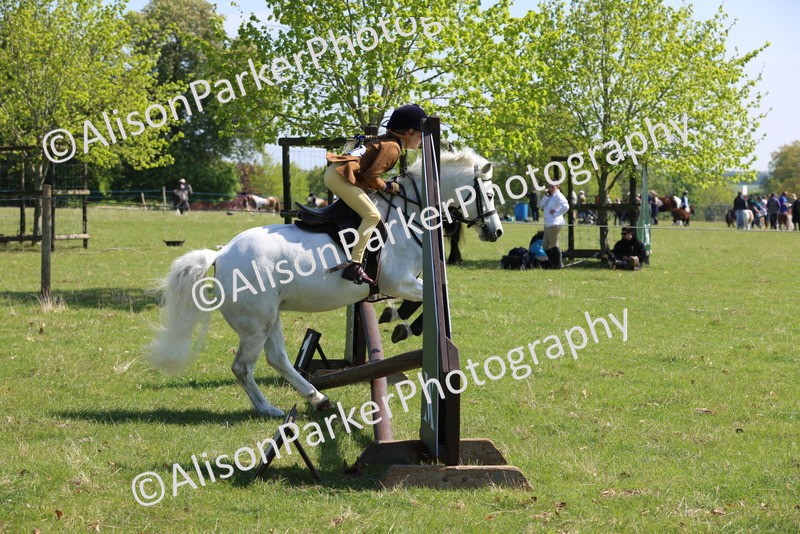 20250427-2471 - Class 19 - Mini Working Hunter