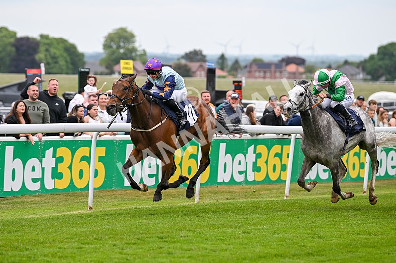 240525-Race 5-Mysteryofthesands-1556 - Race 5