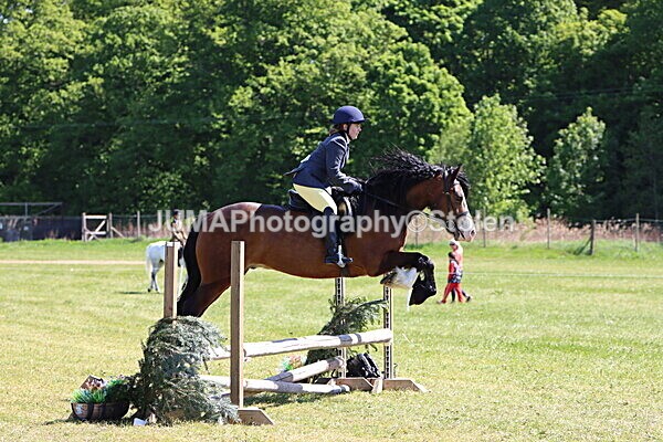 IMG_4047 - Working Hunter
