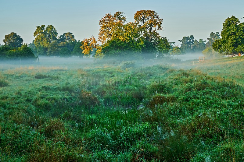  - Landscapes
