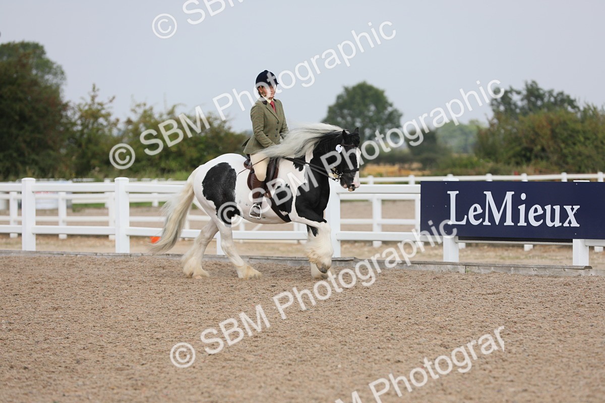 SBM_12686 - Class 307 Ridden Coloured Pony