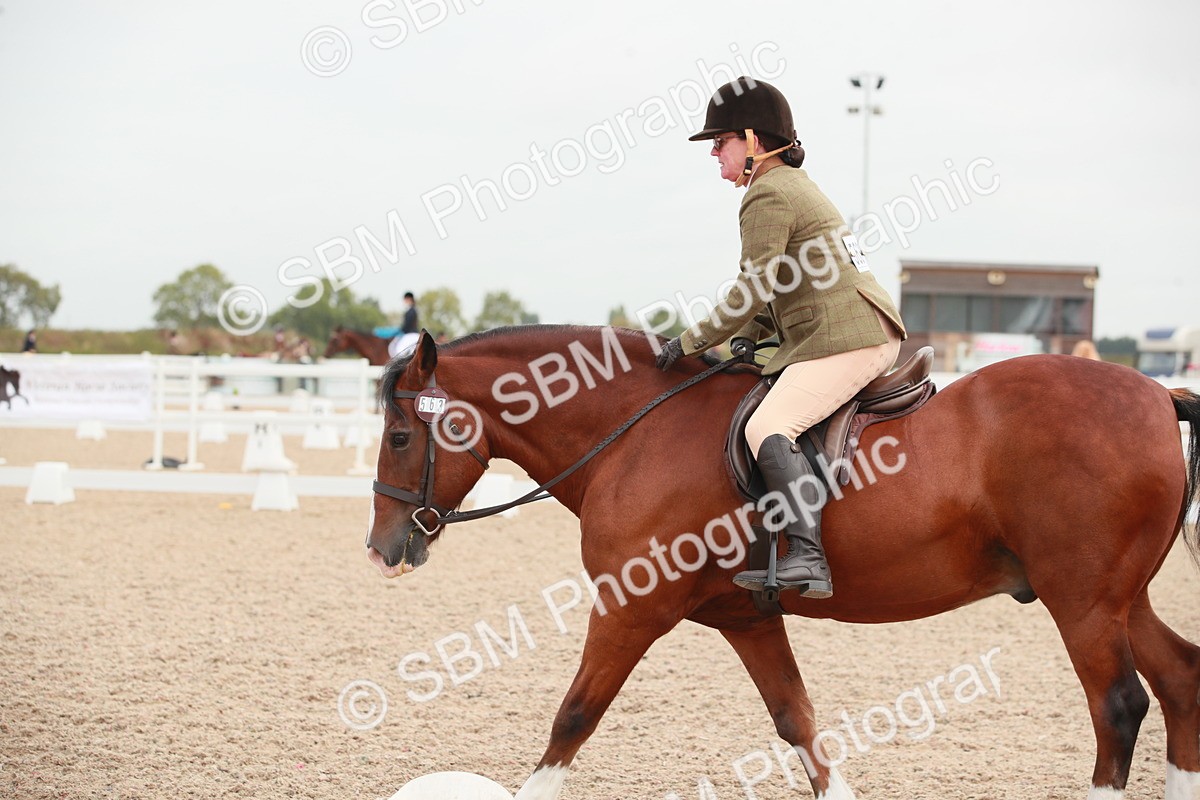 SBM_00830 - Class 30 - Intro 1