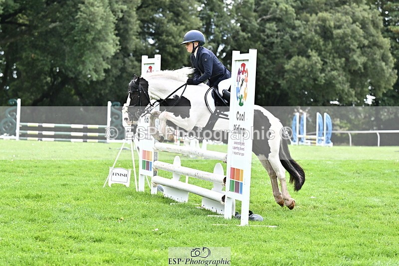 DSC_4093 - FAV_07961673078