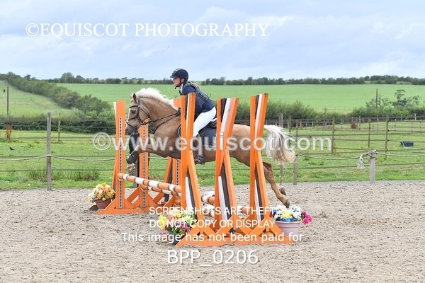 BPP_0206 - CLASS 5 SUN Derby Show Jumping 60CM