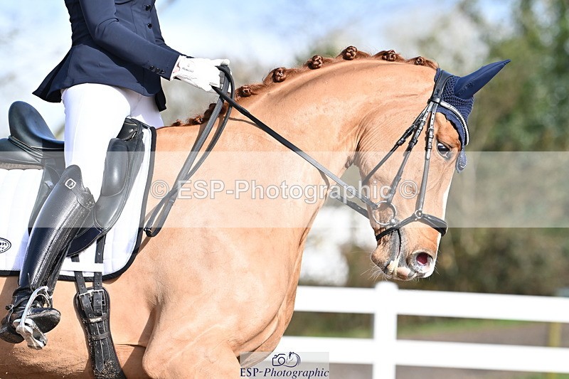 240218A-114233-06817 - 272-Beth.Bainbridge-Newton.Dreamcatcher