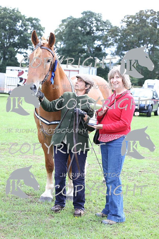 APP_3396 - Class 5 In Hand Championship