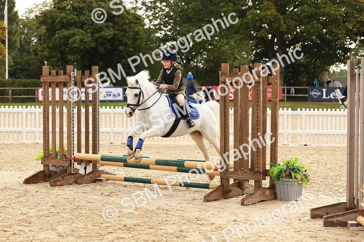 SBM_55779 - J11 - Junior Pony 50cm Championship