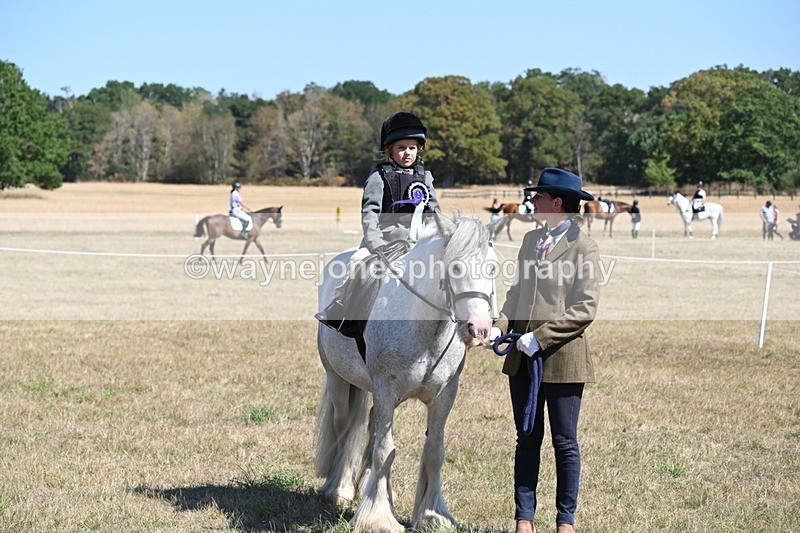 WJ6_8186 - Class 36 Lead Rein