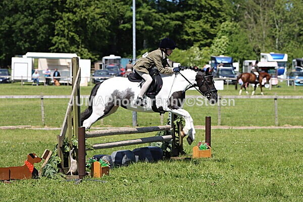 IMG_3823 - Working Hunter