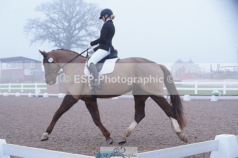 250215-094700-02700 - 142-Daisy.Hedges-Felicia.v