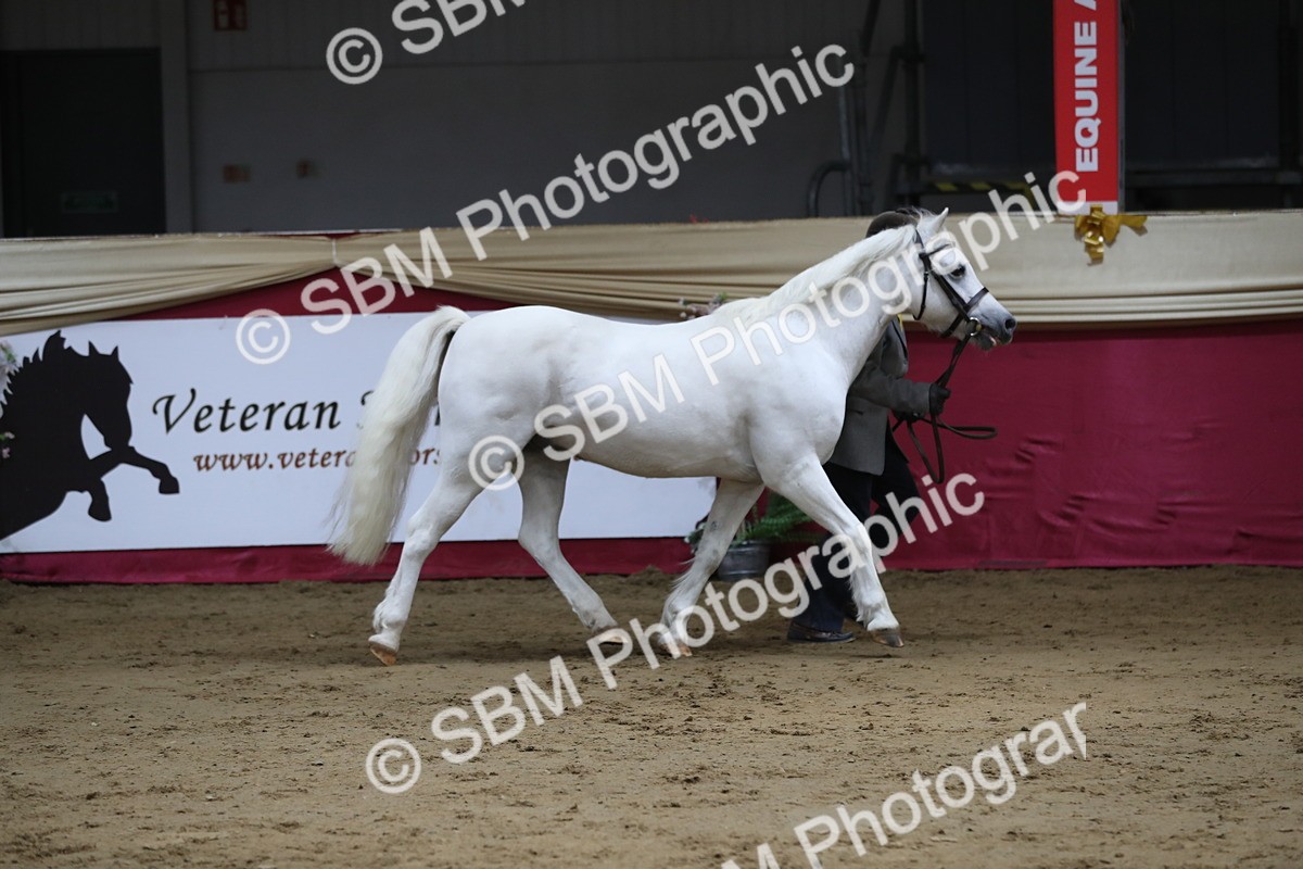 SBM_04947