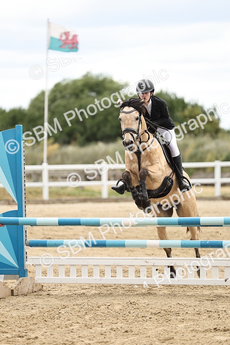 SBM_005811 - 90/100cm showjumping