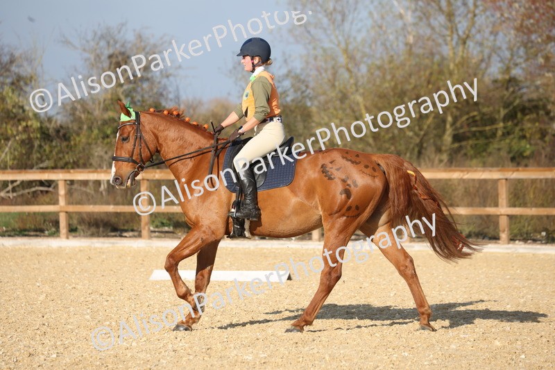 L20261031-0066 - Class 5 - Novice 2