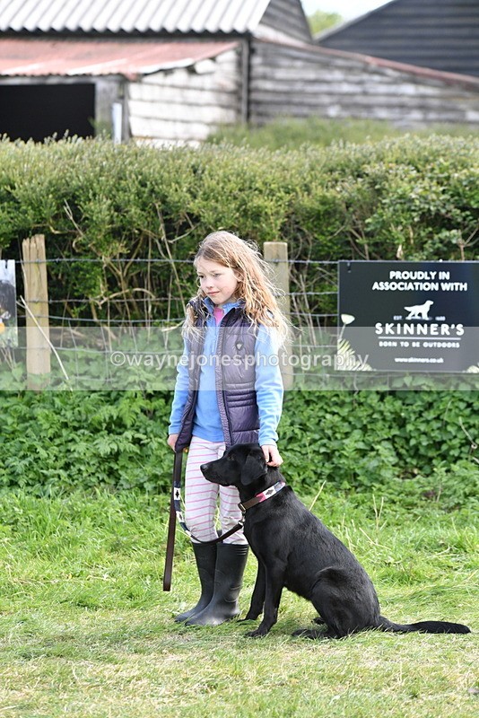 WJ5_0697 - Best in Show Championship