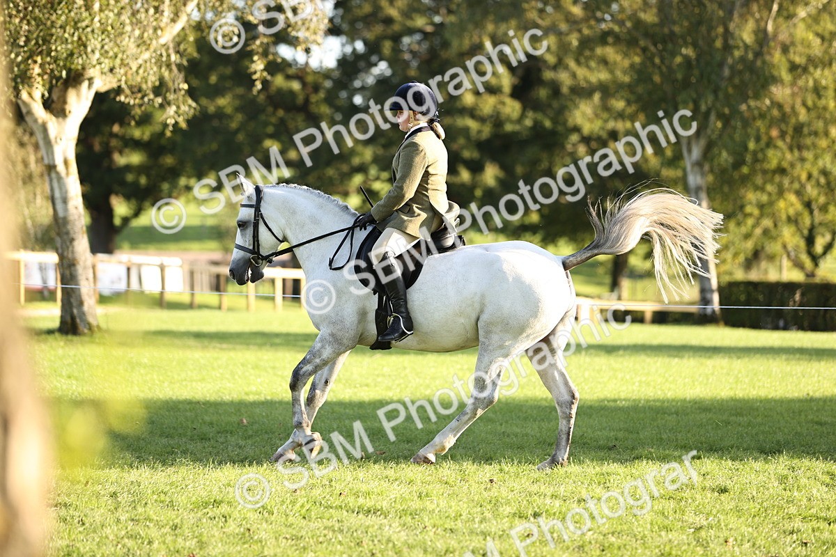 SBM_29596 - S7 - Novice & Newcomers Ridden Pony