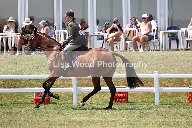 3E7A9390 - Class 12: Open Racehorse to Show Horse