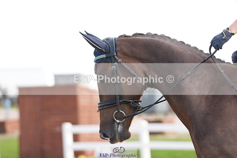 250906-104054-01536 - 006-Verity.PerryVogue