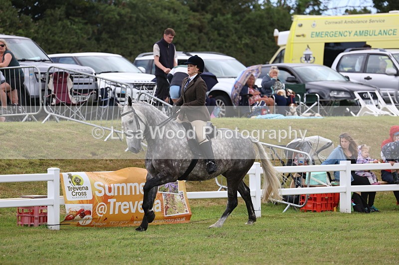 3E7A1482 - Class 9: Open Hunter