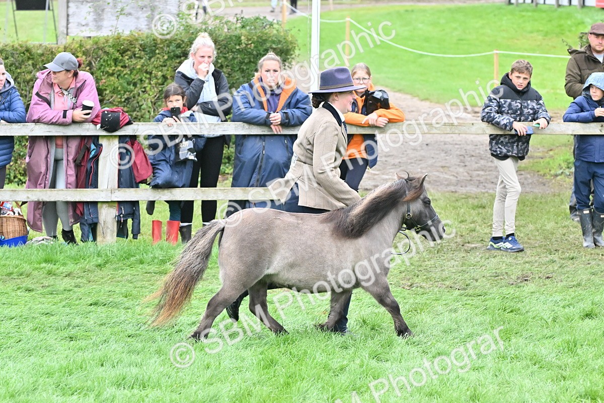SBM_60944 - S48 - Mountain & Moorland In Hand Small Breeds