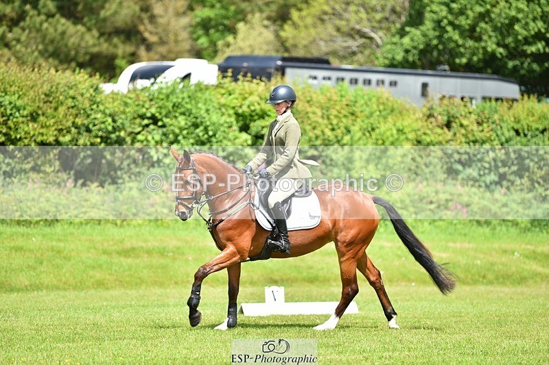 240523B-113346-02004 - 5 Year Old