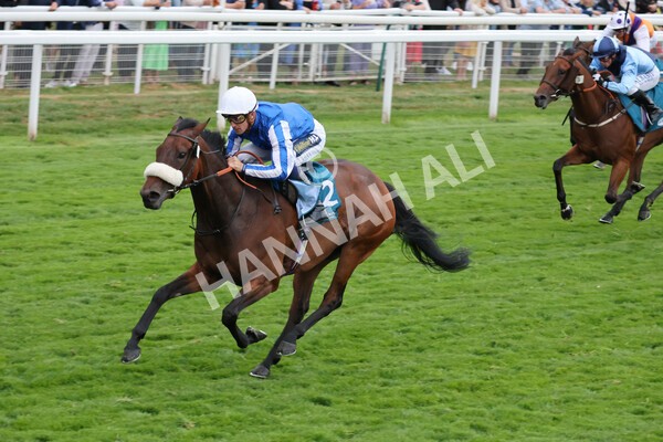 yr22072022r7-30 - Race 7 8.25pm The Sky Bet Go-Racing-In-Yorkshire Summer Festival Stakes