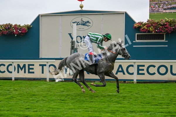 080924-Pony Race-8527 - Pony Race 1.00pm The Dragon (TV and Film) Studios Pony Race 148cm & Under