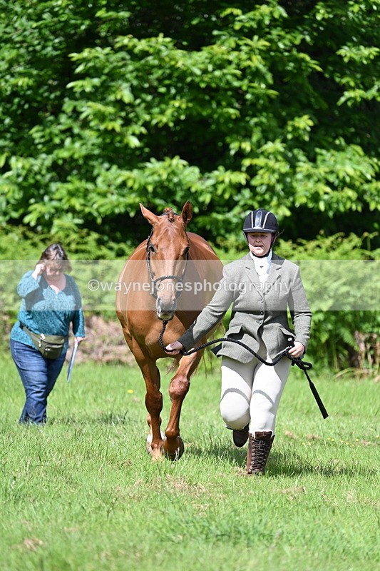 WJ7_1066 - Class 11 Condition & Turnout