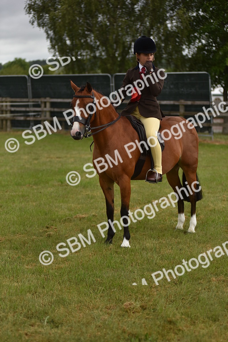 SBM_10728 - Class 110-112 - LIHS BSPS Performance Pones