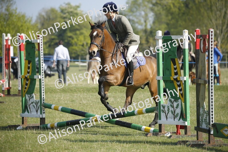 20250427-0233 - Class 12 - Rookie Jumping 40cm