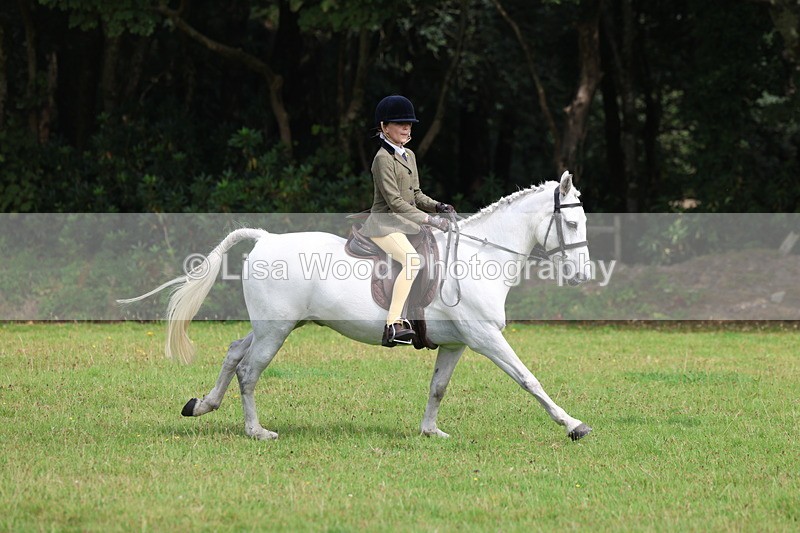 3E7A5858 - Class 26 and 27: 70cm Working Hunter