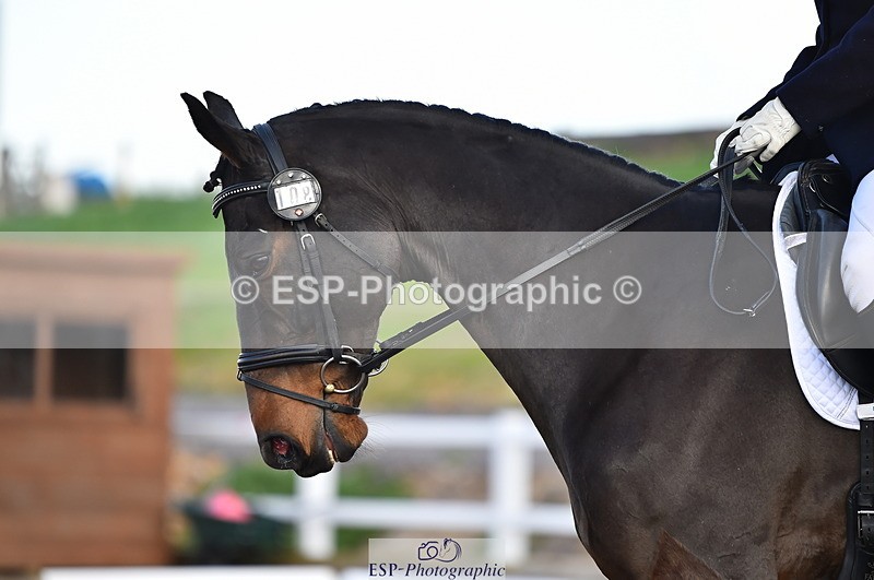 231104A-124142-01736 - Cls 8 Elementary 59