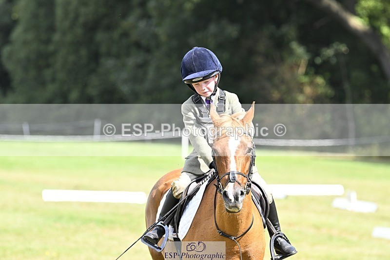 250822A-121519-22661 - DR 11.00 to 12.00