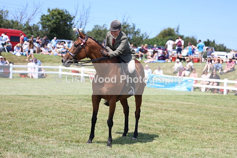 3E7A9400 - Class 12: Open Racehorse to Show Horse