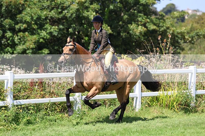 3E7A9224 - Working Hunter Championship