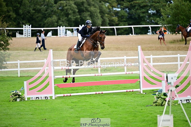 2026-08-21A-DSC_4532 - Cls 2 Snr Foxhunter