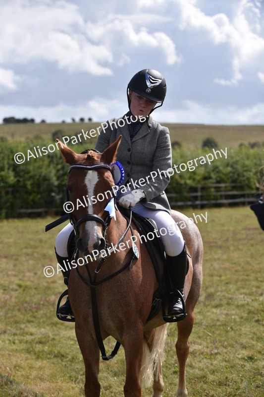 20250831-4042 - Class 12 - Working Hunter Pony 14.2hh and Under