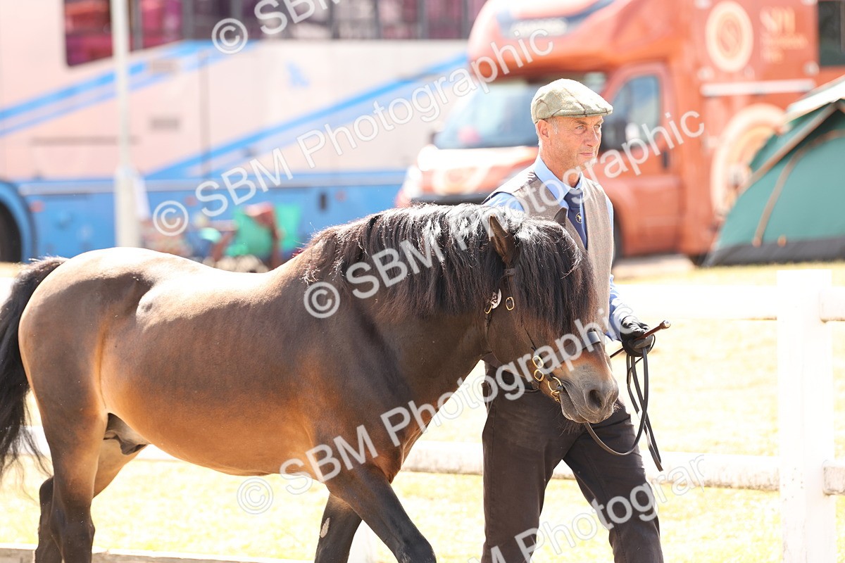 SBM_15019 - Class 209 - IH Veteran Pony
