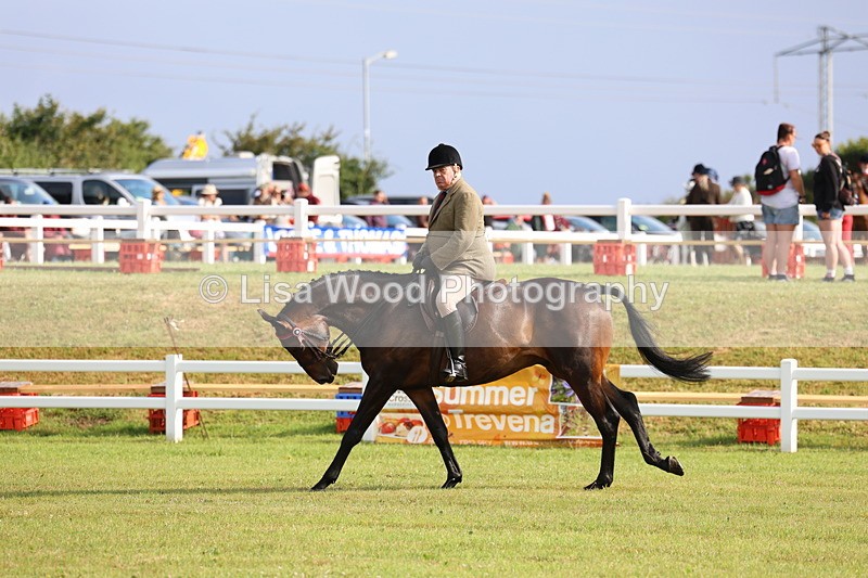 3E7A8188 - Class 2: Rising Star Large Hack/Riding Horse