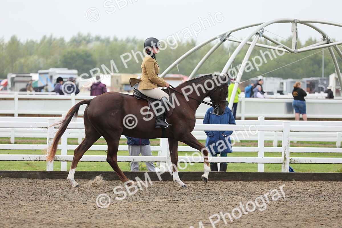SBM_21350 - Class 805 - Ridden Veteran Horse