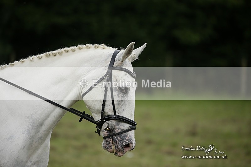 BVRC 120921 479 - Bourne Valley Riding Club UA Dressage & Show Jumping 12/09/21