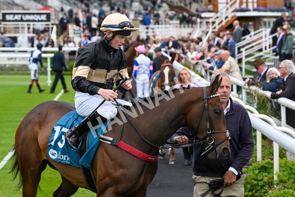 140624-Race 3-Alfa Kellenic-4177 - Race 3 3.00pm British EBF Supporting Racing With Pride Fillies' Handicap