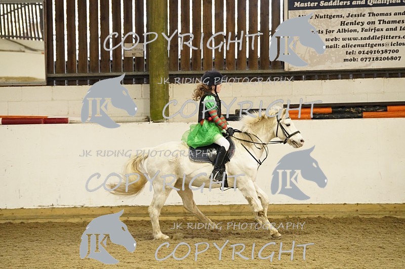 _DSC3262 - 50cm/60cm Pairs