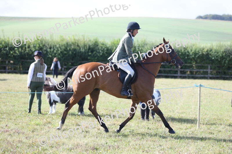 20250831-0826 - Class 14 - Ex Racehorse
