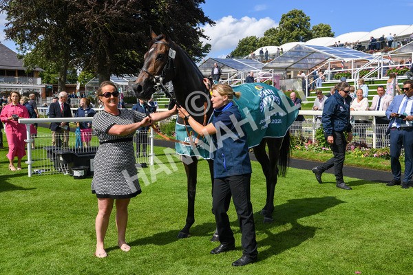 150723-Race 3-Pride of America-0204 - Race 3 3.10pm John Smith's Cup Handicap