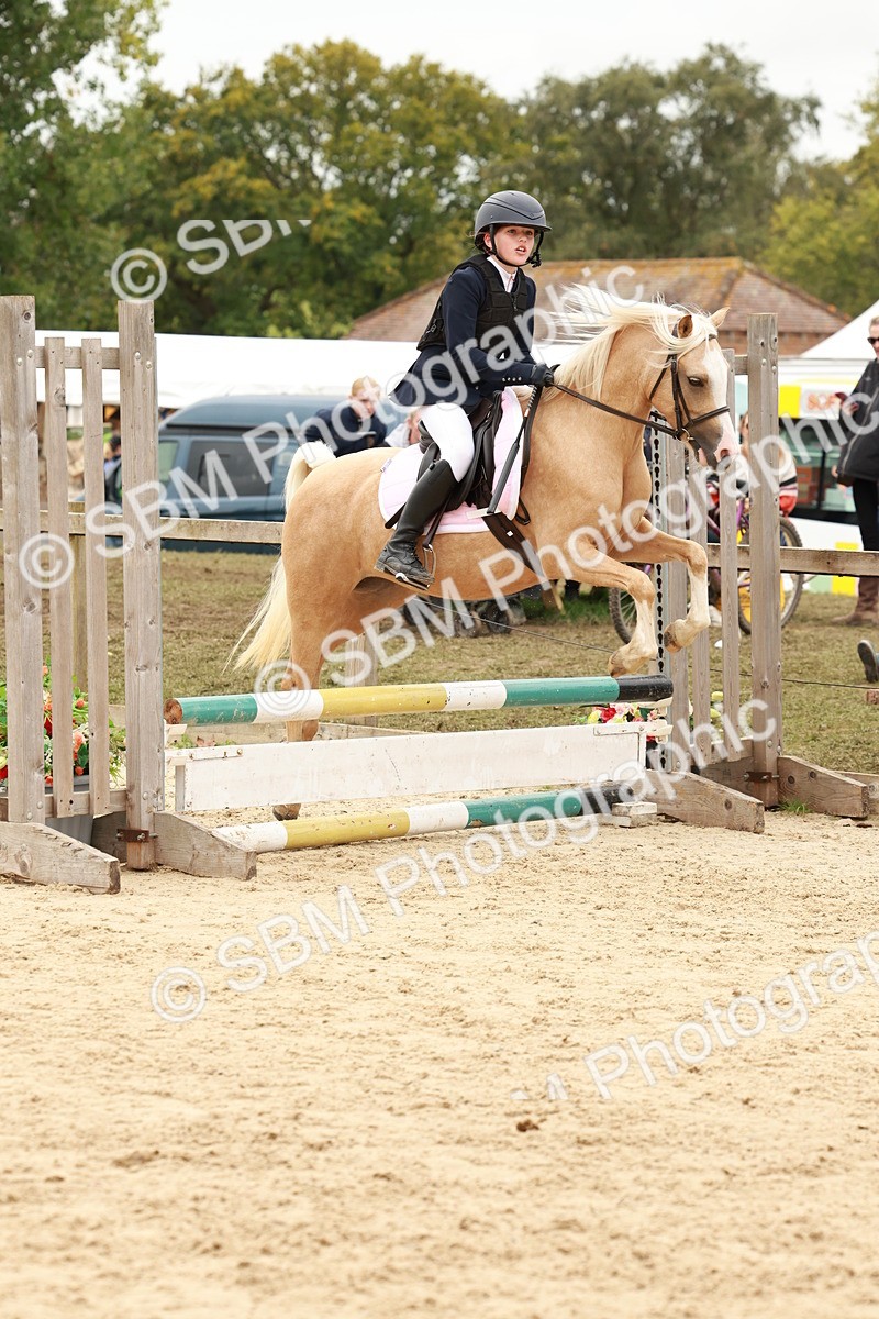 SBM_63829 - J12 - Junior Pony 55cm Championship
