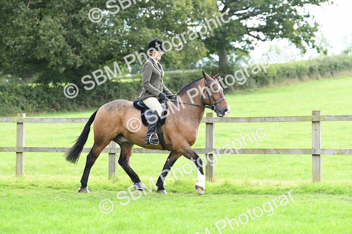 SBM_46756 - S12 - Family Horse & Pony