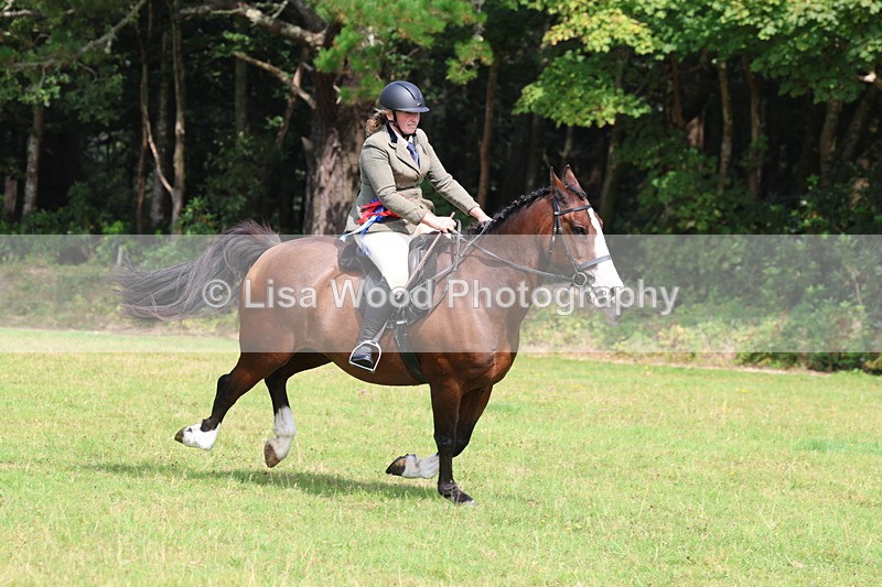 3E7A6113 - Working Hunter Championship