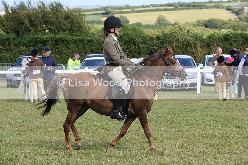 1X9A5788 - Class 40: NPS Welsh A & B