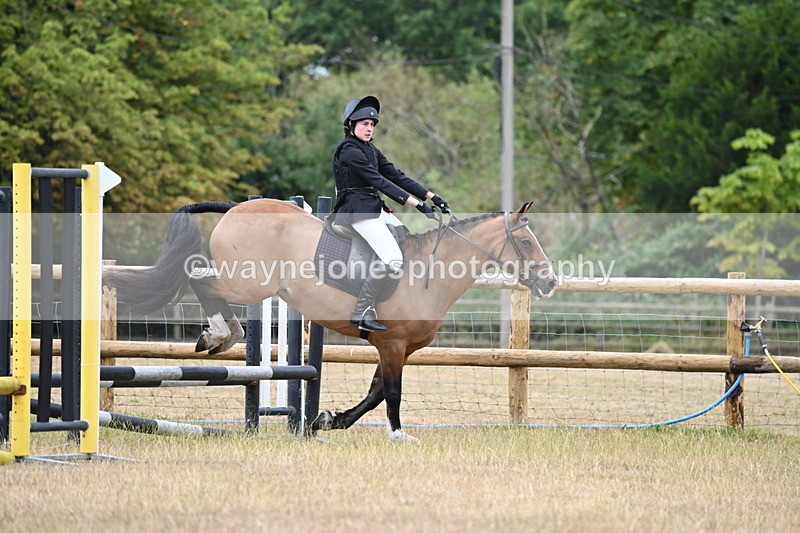 WJ6_0403 - Class 13 Novice Jumping 60cm