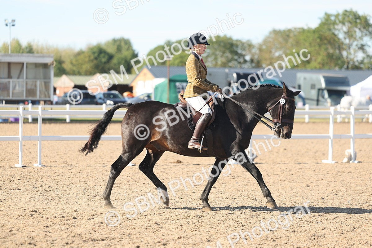 SBM_12326 - Class 304 - Ridden part Bred Horse Pony